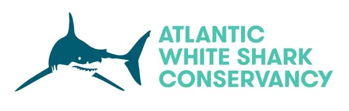 Atlantic White Shark&nbsp;Conservancy